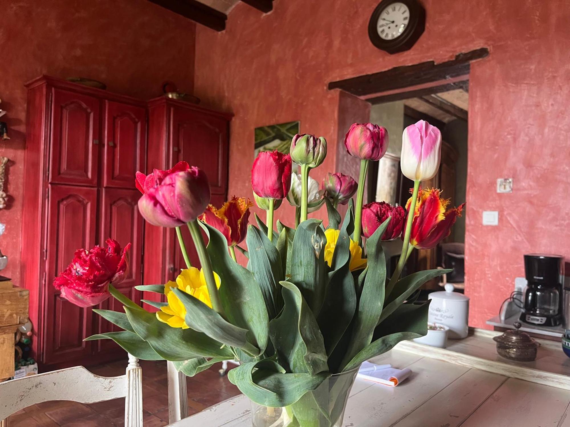 Maison En Provence Lapalud Zewnętrze zdjęcie