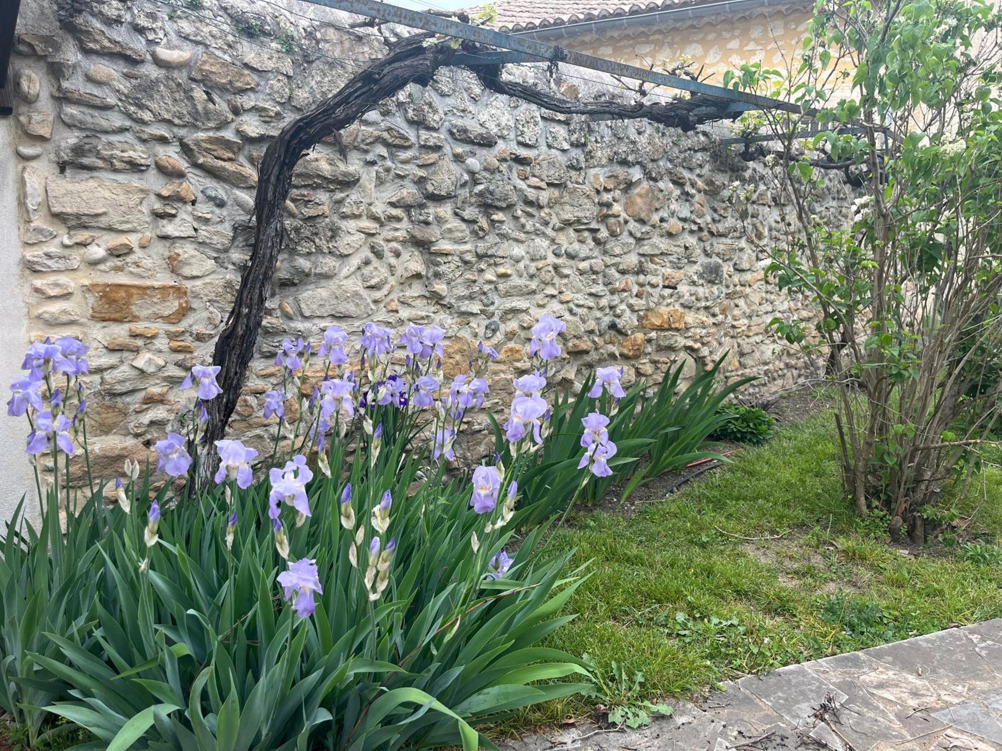 Maison En Provence Lapalud Zewnętrze zdjęcie