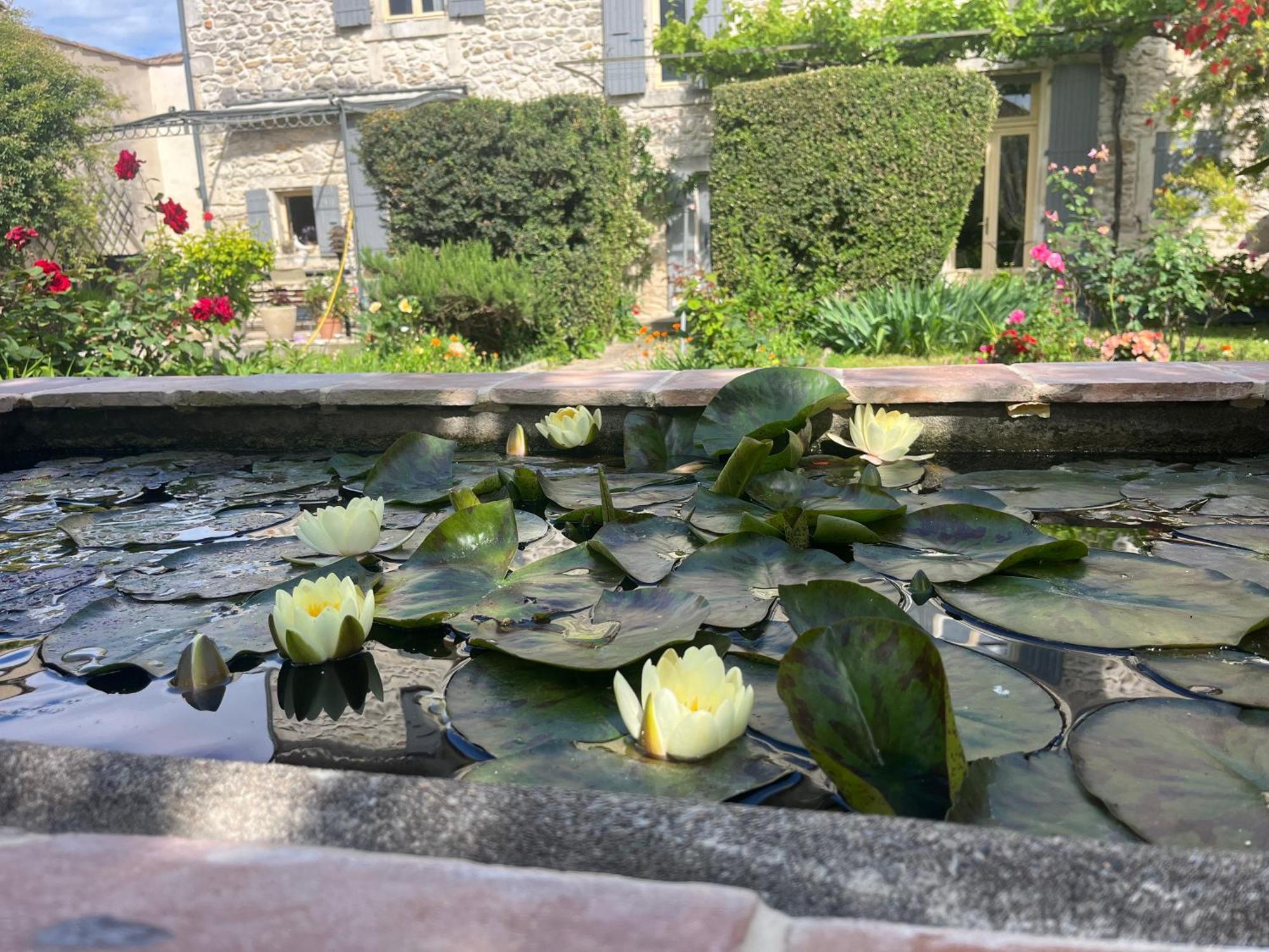 Maison En Provence Lapalud Zewnętrze zdjęcie