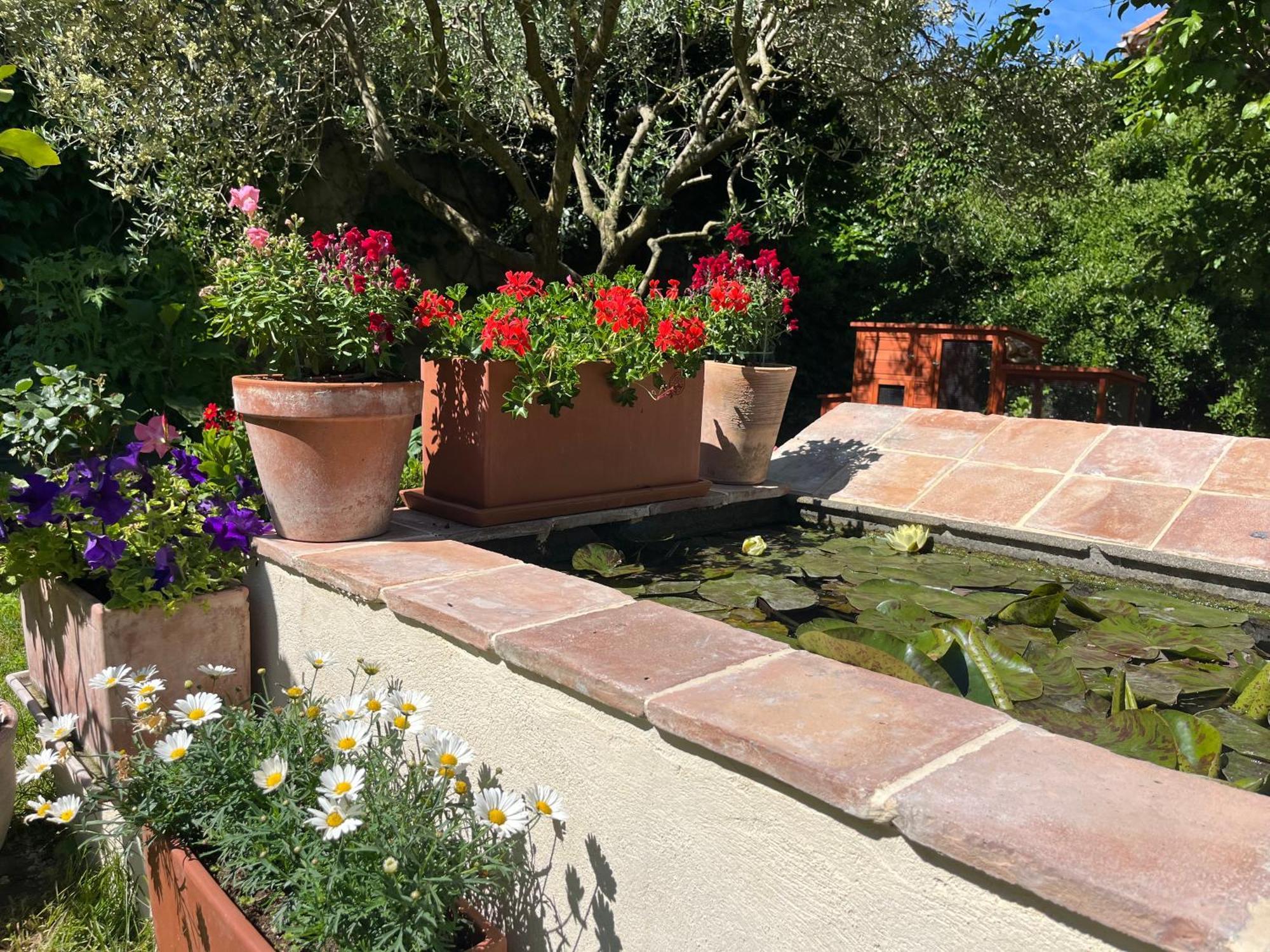 Maison En Provence Lapalud Zewnętrze zdjęcie